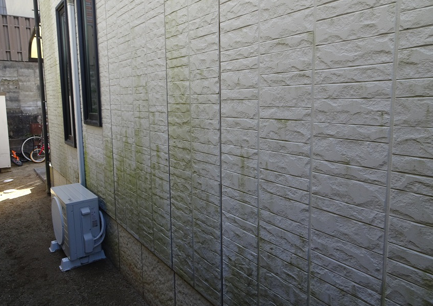 サイディング外壁のコケや藻、カビ