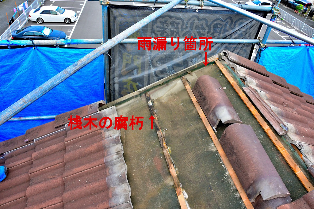 モ二エル瓦ケラバ雨漏り