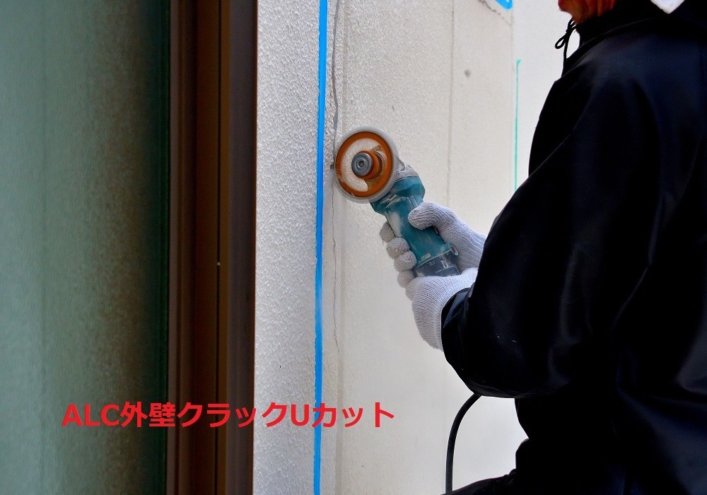 ALC Uカット