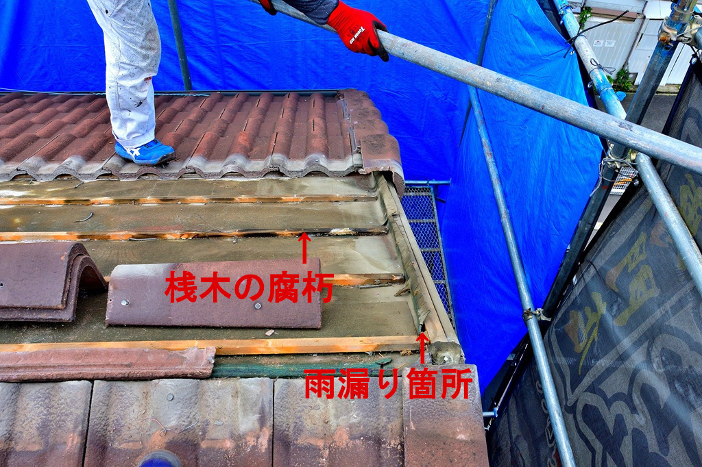 モ二エル瓦ケラバ雨漏り