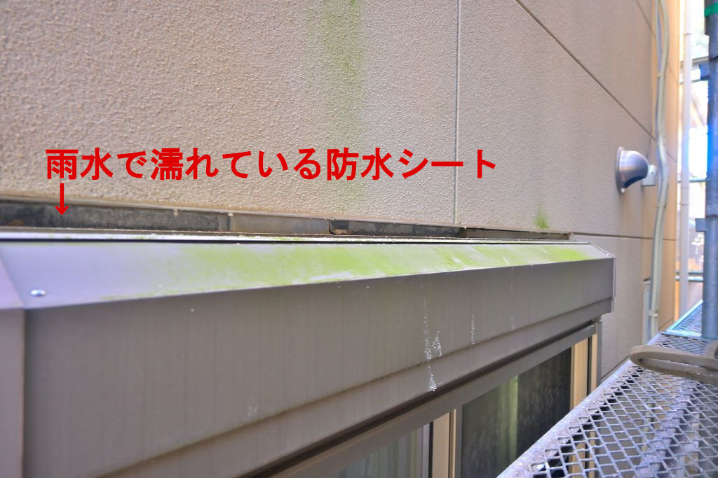 雨水で濡れた防水シート