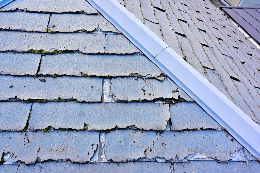 ニチハのパミール