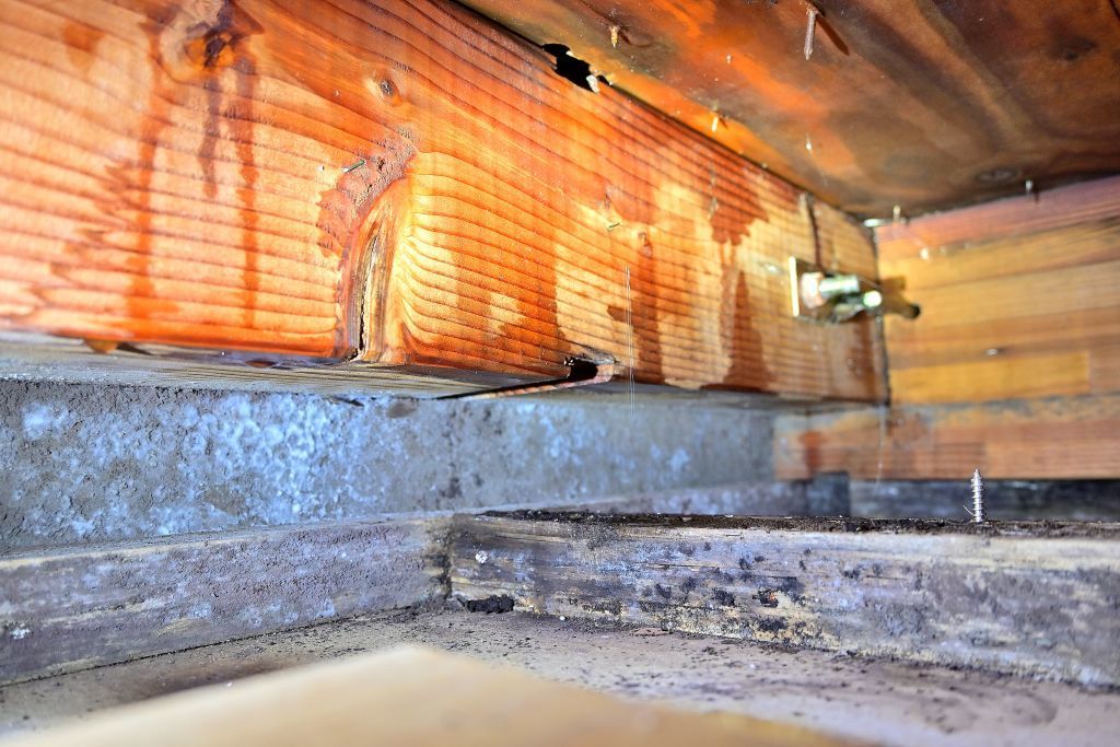 ベランダ上裏内部