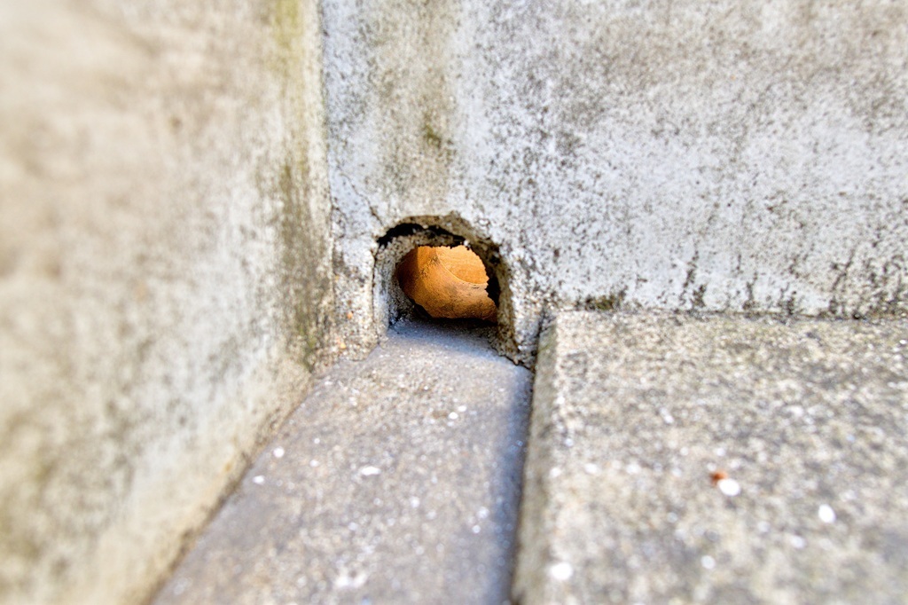 プライマー塗布